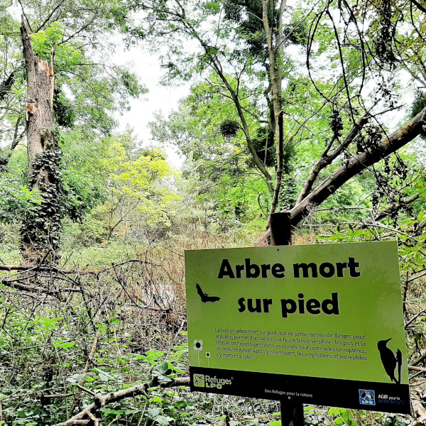 Panneau Refuge arbre mort sur pied à Villeneuve-le-Roi © LPO